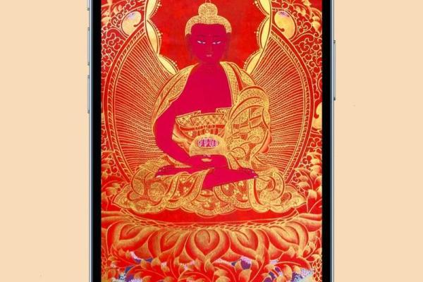 属猪木命的人缺什么?揭示内心成长的秘密! 属猪木命的人缺什么?揭示内心成长的秘密!