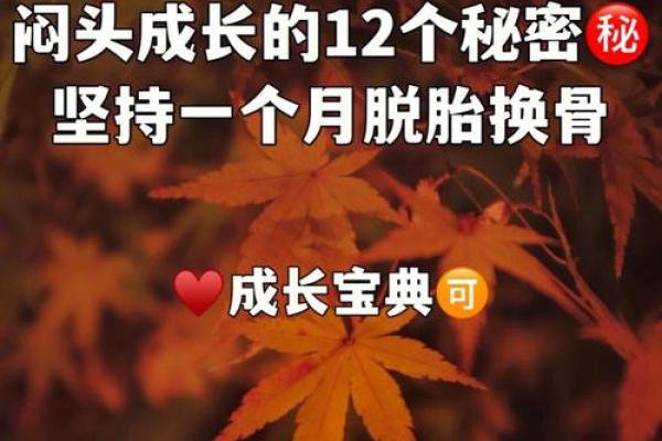 属猪木命的人缺什么?揭示内心成长的秘密! 属猪木命的人缺什么?揭示内心成长的秘密!