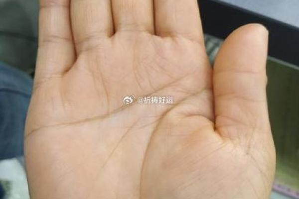 手上十簸箕是什么命?解读人生奥秘与运势变化! 手上十簸箕是什么命?解读人生奥秘与运势变化!