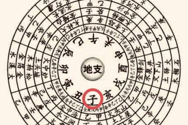 剑锋金命女性与命理配对的最佳选择分析