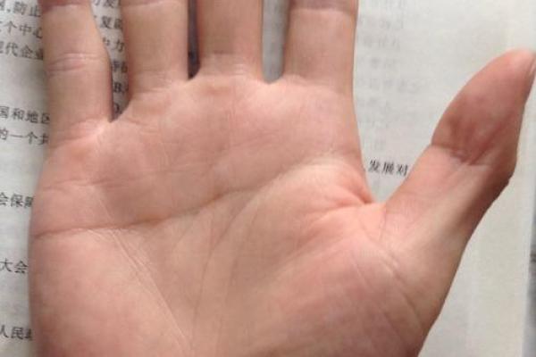 揭示富贵命的特征与人生哲学，助你识别自己的天赋与潜力！