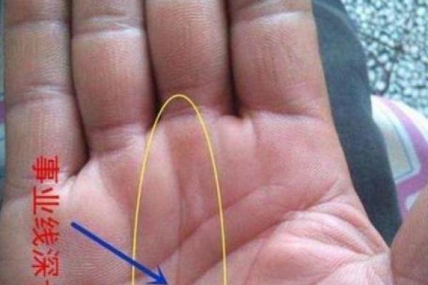 松柏木命男孩与命中注定女孩的完美匹配探讨 松柏木命男孩与命中注定女孩的完美匹配探讨