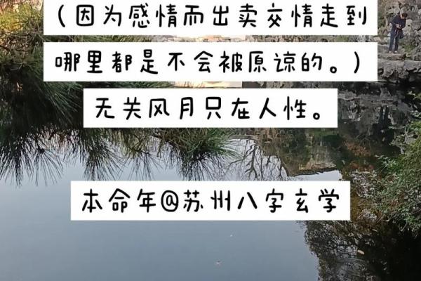 什么是好过命的交情?探讨人与人之间真诚的情谊 什么是好过命的交情?探讨人与人之间真诚的情谊