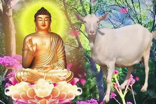 1955年属羊的命运与性格:解析其丰富内涵与人生智慧 1955年属羊的命运与性格:解析其丰富内涵与人生智慧