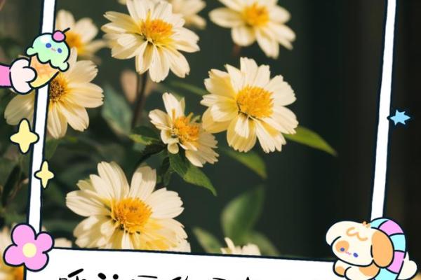 命运多舛:如何在巨大的磨难中找到勇气与希望 命运多舛:如何在巨大的磨难中找到勇气与希望