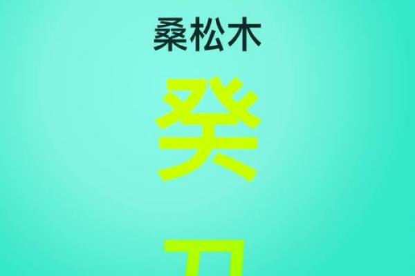 42年出生的人属什么?揭开命理的神秘面纱! 42年出生的人属什么?揭开命理的神秘面纱!