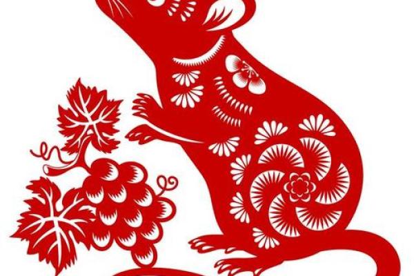 24岁老鼠是什么命:揭示老鼠命运与性格的奥秘 24岁老鼠是什么命:揭示老鼠命运与性格的奥秘