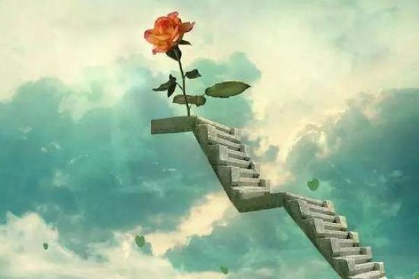 探秘1981年12月19日出生者的命运与人生历程 探秘1981年12月19日出生者的命运与人生历程