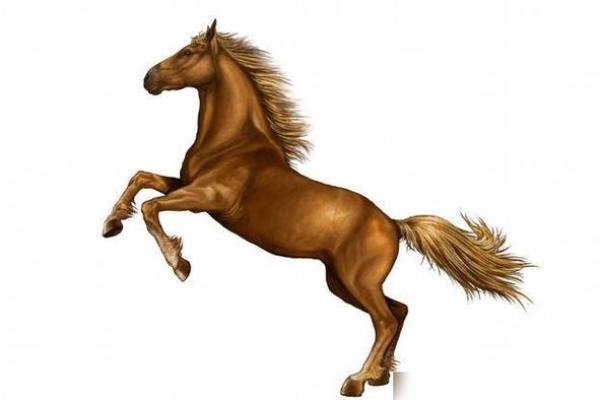 1930年属马的人命运解析：马年人的特点与运势