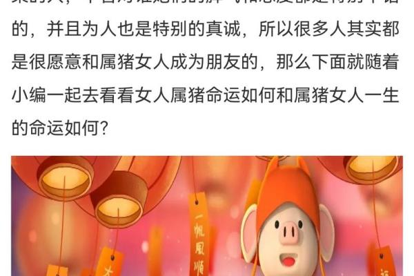 2019年属猪人的命运与性格解析：揭示你的命理与未来趋势