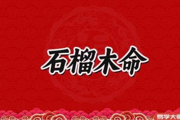 石榴木命男人与最合适的命格:寻觅命中注定的伴侣之旅 石榴木命男人与最合适的命格:寻觅命中注定的伴侣之旅