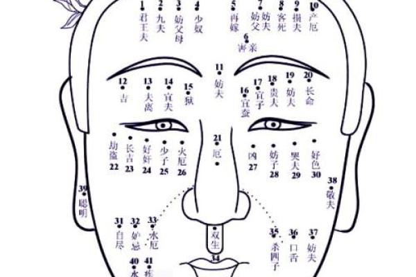 各种生肖女人的命运解析:你的生肖暗藏着怎样的秘密? 各种生肖女人的命运解析:你的生肖暗藏着怎样的秘密?