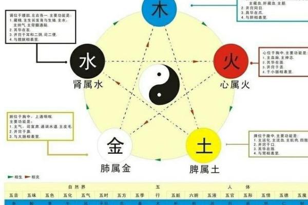 命理与工地生意：如何选择适合创业的五行属性