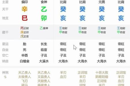 癸亥年出生的命理揭秘：你的命运与性格是什么样的？