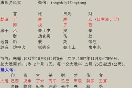 水命属马的最佳配对：与不同命格的缘分探讨