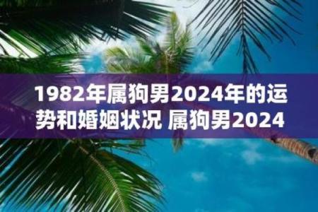 1982年属狗的命理解析与运势探讨