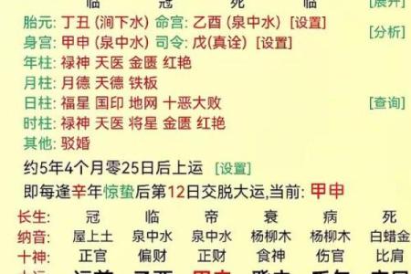 解析女命辛金日柱的命格特质与运势发展