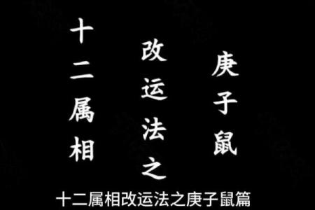 2008年出生的耗子命运解析：细数个性与运势，开启人生新篇章！