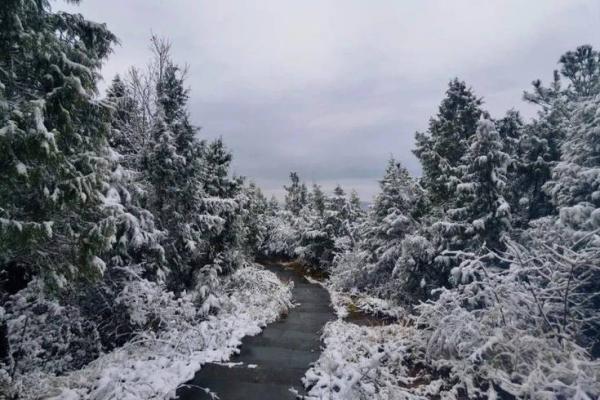 冬月的魅力：探索2000年冬季的命理与生活之美