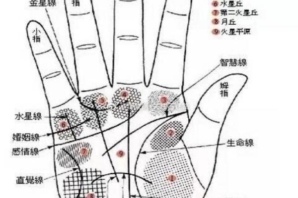 脚拇指上翘的命运解读:揭示你潜藏的性格与运势! 脚拇指上翘的命运解读:揭示你潜藏的性格与运势!