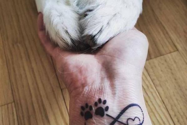 火命狗的纹身选择:象征意义与个人风格的完美融合 火命狗的纹身选择:象征意义与个人风格的完美融合