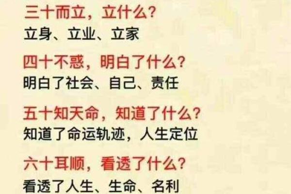 子时出生的人命运解析：揭示命运背后的秘密与智慧！