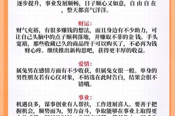 2023年兔年的命运解析：揭秘属兔人的运势与人生方向