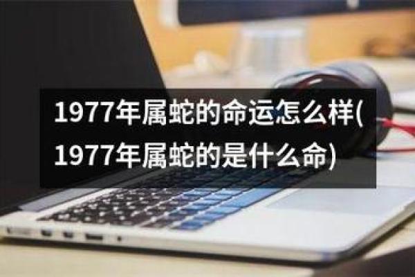 2022年属蛇人如何把握命运与机会，开启辉煌人生新篇章