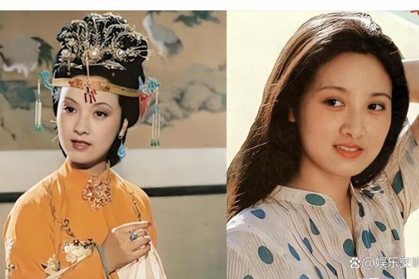 薄命天子:命运与责任的交响曲 薄命天子:命运与责任的交响曲