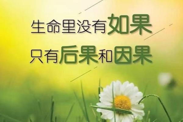 探索“未命”与“未命也”的深层含义与人生启示