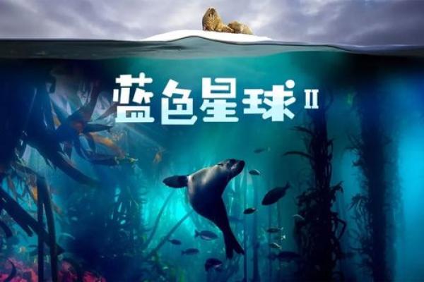 金牛壁上土命的坚韧与缺失:寻找生命的平衡之路 金牛壁上土命的坚韧与缺失:寻找生命的平衡之路