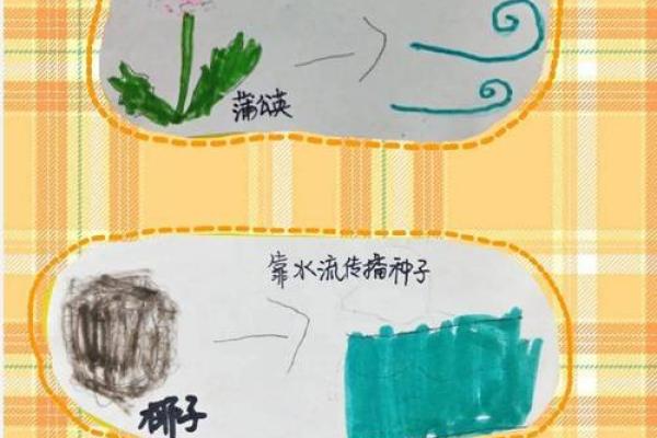 大林木命:探寻生命数字与性格的奥秘 大林木命:探寻生命数字与性格的奥秘