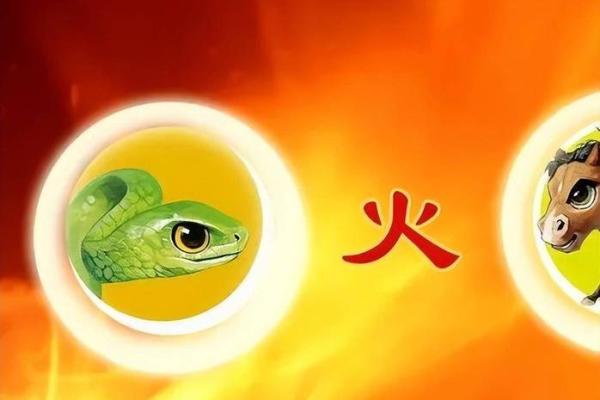 非濺命:揭示隐藏在你生肖背后的秘密 非濺命:揭示隐藏在你生肖背后的秘密