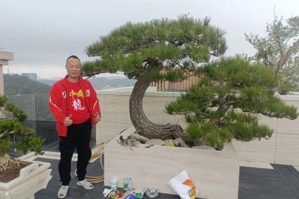 命里缺水的人适合摆什么?探寻增强财运与健康的物品! 命里缺水的人适合摆什么?探寻增强财运与健康的物品!