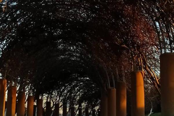 莫文蔚:命格解析与命运的交织之旅 莫文蔚:命格解析与命运的交织之旅