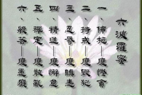 飞凤之命:解读命运中的美丽与智慧 飞凤之命:解读命运中的美丽与智慧