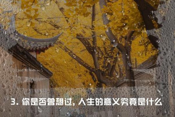 有命之命无命只苦:人生的真谛与哲学思考 有命之命无命只苦:人生的真谛与哲学思考