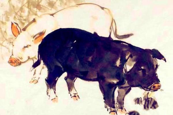 腊月属猪的人命运解析:财富、性格与人生 腊月属猪的人命运解析:财富、性格与人生