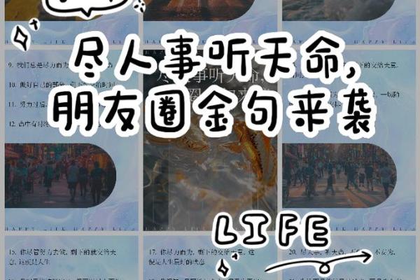 1991与1997:命运的交响曲与人生的智慧探寻 1991与1997:命运的交响曲与人生的智慧探寻