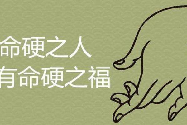 命硬到底意味着什么?揭开命理中的奥秘与启示 命硬到底意味着什么?揭开命理中的奥秘与启示