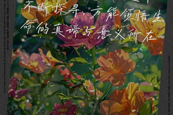 以命换命:探寻生命的真谛与牺牲的意义 以命换命:探寻生命的真谛与牺牲的意义