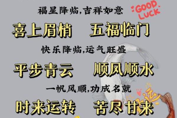 揭示运势:与“龙”和“命”相关的成语精彩合集 揭示运势:与“龙”和“命”相关的成语精彩合集
