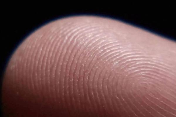 探寻12个簸箕的神秘命理:你是何种命格? 探寻12个簸箕的神秘命理:你是何种命格?