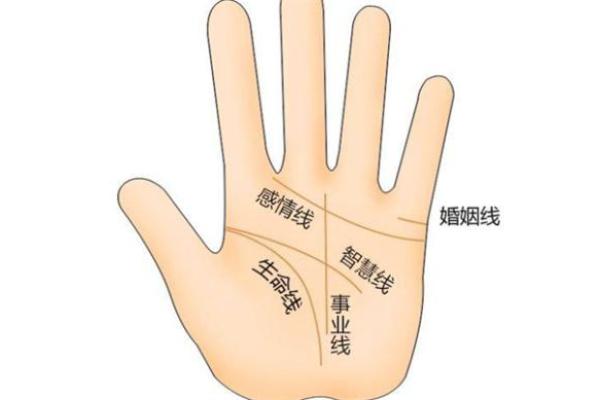 丑时出生命理解析:2018年的人生轨迹与职场运势 丑时出生命理解析:2018年的人生轨迹与职场运势