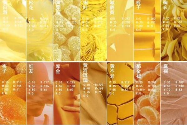 火命者最适合的颜色:光辉与温暖的选择之旅 火命者最适合的颜色:光辉与温暖的选择之旅