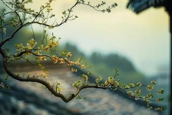 春天里的乙木命:葱茏生机与生命的活力 春天里的乙木命:葱茏生机与生命的活力