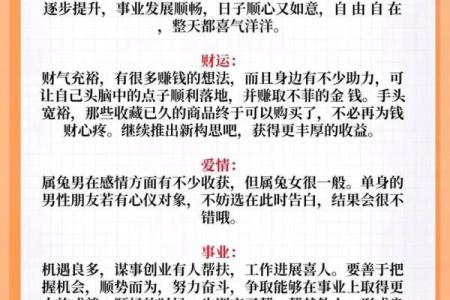 2023年兔年的命运解析：揭秘属兔人的运势与人生方向