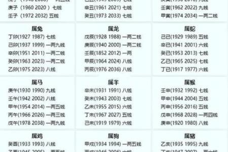 通过算命探索命运：你属于哪种命？