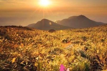 土命人的艺名选择：揭示个性与命理的完美结合