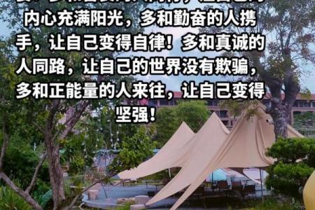 家里排行老四命运解析：四子的独特人生之路